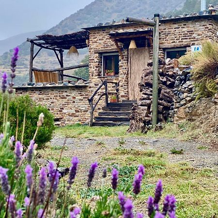 Casa Rural Cortijo Molino Altero Тревелес Экстерьер фото