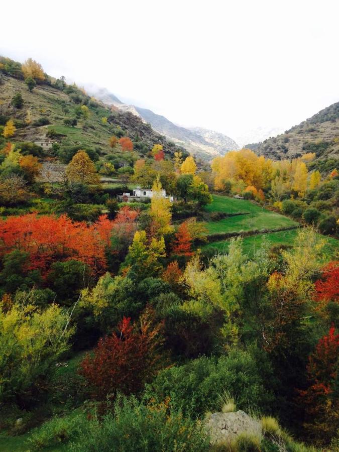 Casa Rural Cortijo Molino Altero Тревелес Экстерьер фото