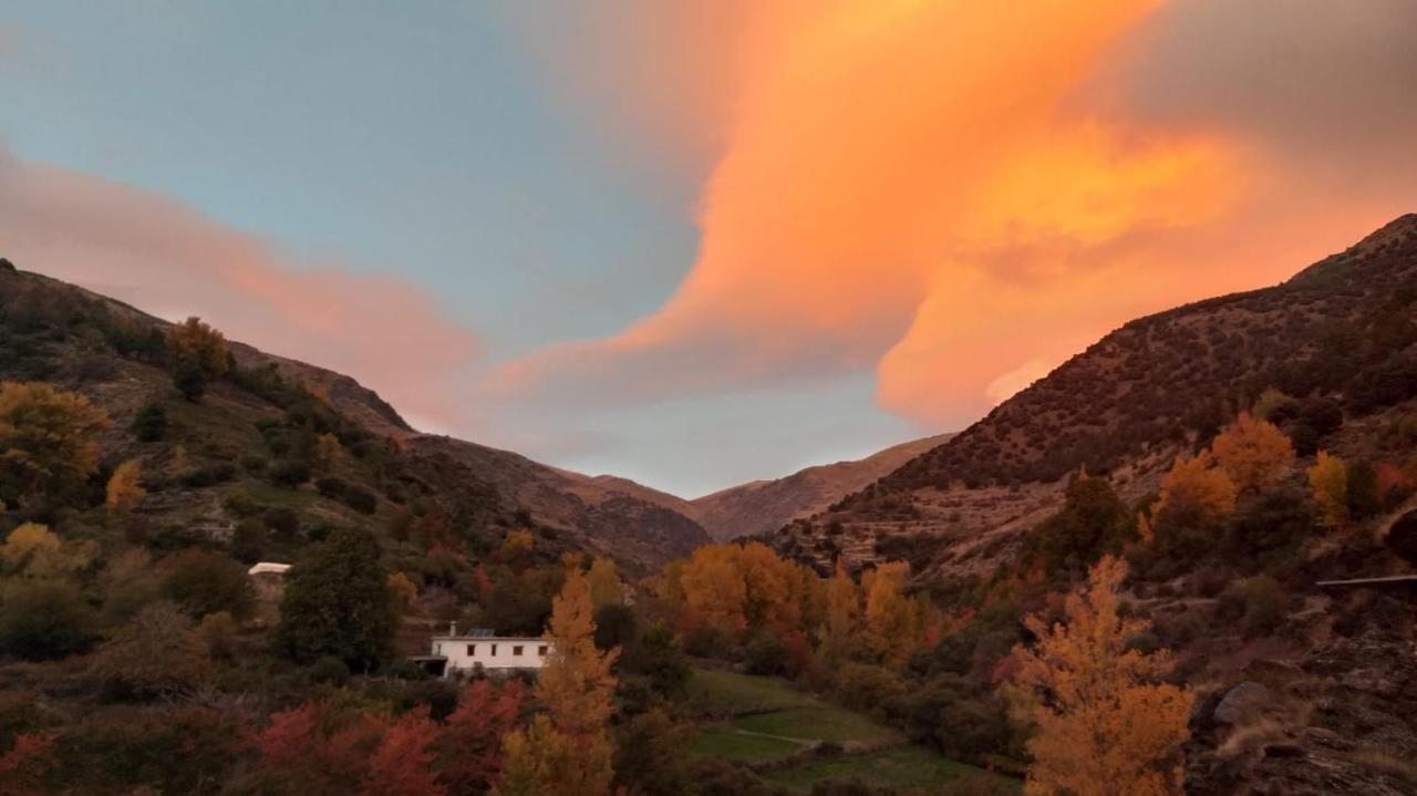 Casa Rural Cortijo Molino Altero Тревелес Экстерьер фото