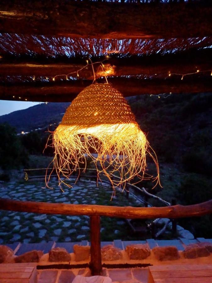 Casa Rural Cortijo Molino Altero Тревелес Экстерьер фото