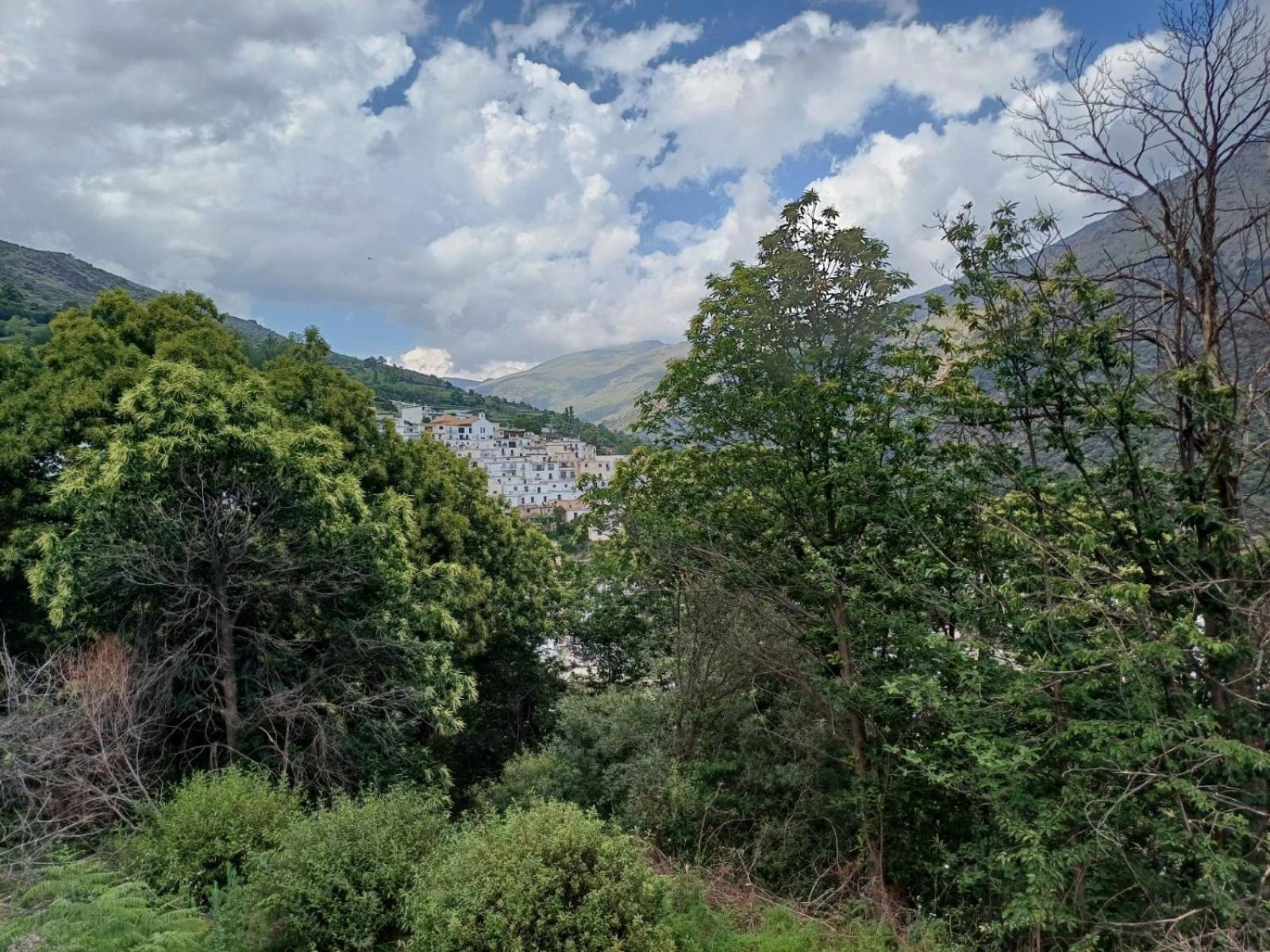 Casa Rural Cortijo Molino Altero Тревелес Экстерьер фото