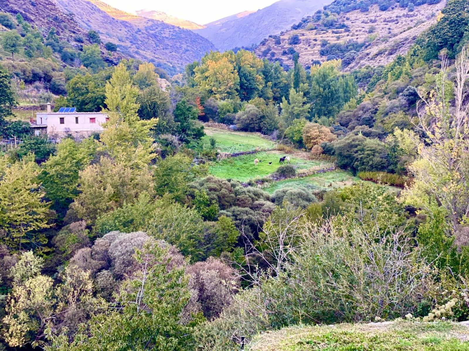 Casa Rural Cortijo Molino Altero Тревелес Экстерьер фото
